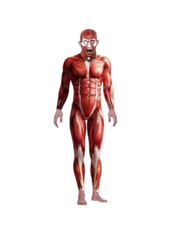 Anatomie Déguisement