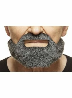 Barbe Complète Hollywoodienne