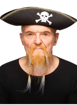 Barbe Pointue Tressée