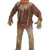 Costume De Citrouille Lumineuse