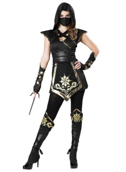 Déguisement De Guerrière Ninja
