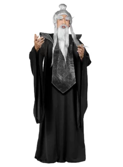 Déguisement De Maître Asiatique