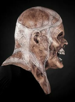 Masque De Momie Marron En Latex -Halloween Soldes masque de momie marron en latex mw 117620 5