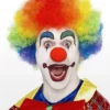 Perruque De Clown Arc-en-ciel